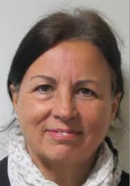 Chippenham One Plan labelled 'undemocratic' by councillor