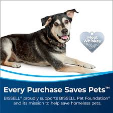 Bissell Proheat Lift Off Pet Expert Series Manual Proheat Advanced Deep Cleaner 1846 Bissell Carpet Cleaners