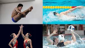 Aquatic Diploma in Sporting Excellence (DiSE) - Swim England ...