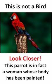 Dopl3r Com Memes This Is Not A Bird Look Closer This Parrot Is In Fact A Woman Whose Body Has Been Painted