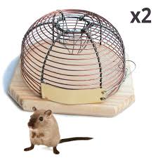 Rats et souris au poulailler : Lot De 2 Pieges A Souris Petite Cage Vente Au Meilleur Prix Jardins Animes
