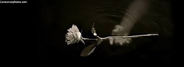 Black And White Flower Facebook Cover Photos Pin On Sad Cover Photos