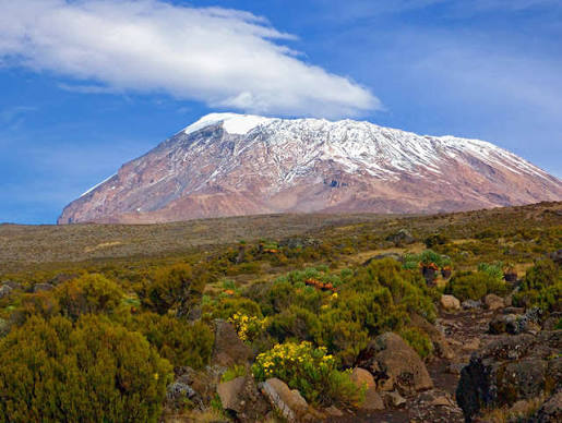 Machame Route