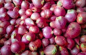 Umbi bawang merah mengandung allicin, vitamin b1 (thiamin) untuk pertumbuhan tunas, riboflavin untuk pertumbuhan tanaman, dan mengandung zpt auksin dan rhizokalin yang dapat merangsang. Jual Bawang Merah