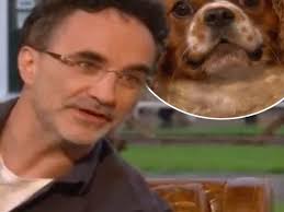 Animal Rescue Live: Supervet Special viewers go wild over adorable Oscar