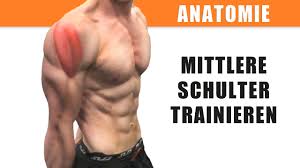 May 02, 2016 · an der außenseite des humerusschaftes setzt ungefähr in der mitte der deltamuskel (musculus deltoideus) an. Mittlere Schulter Trainieren Anatomie Des Deltamuskels Seitliche Schulter Youtube