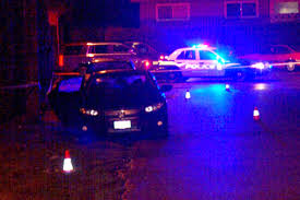 Man Sentenced For 2017 House Party Shooting In Abbotsford Abbotsford News