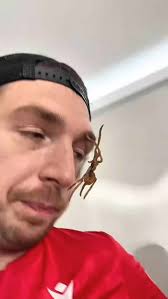 Reel by storyteller (@storyteller6010) · December 1, 2025