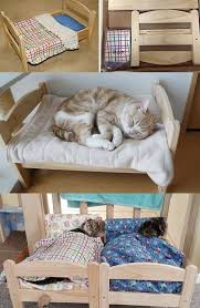 12 Geniale Ikea Hacks Speziell Fur Deine Katzen Die Du Nicht Verpassen Solltest Cat Room Cat Room Diy Pet Furniture
