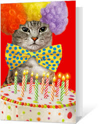 Thanks to adobe spark, you can create something unique and heartfelt in your own home. Download Hd Birthday Cat Ittude Greeting Card Cats Birthday Card Pdf Transparent Png Image Nicepng Com