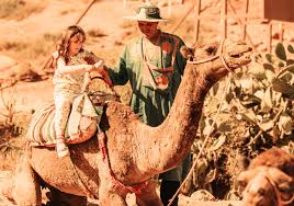 With tilen lapajne, masa derganc, borut veselko, amalia felicijan. Kamelritt In Marrakesch Empfehlungen Fur Gute Touren Und Wichtige Infos