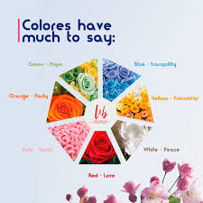 Maybe you would like to learn more about one of these? Lilies Berries The Color Of Flowers Is Something Important To Note When Giving Someone A Gift As They Have Meaning Check Below White Flowers Signify Forgiveness Peace Innocence Purity Loyalty
