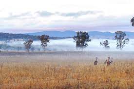the mudgee project one photo of mudgee every week for a year mudgee photography by amber hooper mudgee images mudgee big country natural landmarks