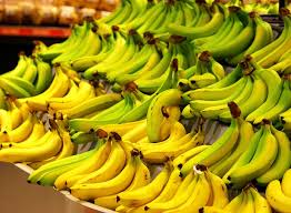 The Journey Of One Banana A Supply Chain In Motion