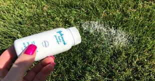 Babypuder Als Wahre Wunderwaffe Nach Diesem Artikel Wirst Du Nicht Mehr Darauf Verzichten Wollen Babypuder Ameisen Im Garten Tipps Und Tricks