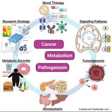 Renowned for cancer research and cancer diagnosis, treatment & prevention. Cancer Endocrinology