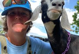 My beautiful Sugar passed overnight....