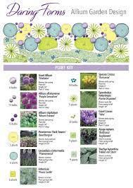 Daring Forms Allium Garden Design Longfield Gardens Flower Garden Plans Allium Garden