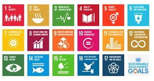 Sustainable Development Goals Sdgs