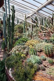 Barbican Conservatory A Tropical Jungle In London Blushrougette Barbican Conservatory Kew Gardens Barbican