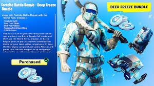 Here is a full list of cosmetics from the fortnite deep freeze set! New Deep Freeze Skin Bundle Pack In Fortnite Youtube