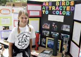 Biology Science Fair Projects For 11th Grade 403 Forbidden Science Fair Projects Science Fair Winning Science Fair Projects