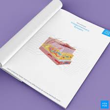 Integumentary System Parts Quizzes And Diagrams Kenhub