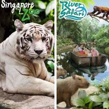 The night safari singapore is the world's first nocturnal zoo and one of the city's most famous attractions. Singapore Zoo River Safari Night Safari Jurong Bird Park Entertainment Attractions On Carousell