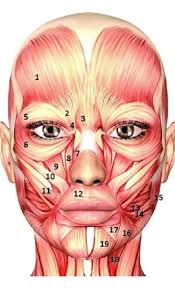 Everglow Wellbeing and Beauty