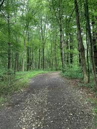 Related to stephanie lokken, daniel lokken, jasmine lokken, dennis lokken. Longwood Park Ohio Alltrails