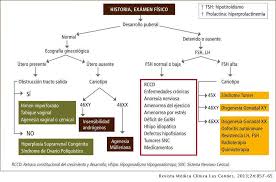 Trastornos Endocrinos De La Pubertad En La Nina Y Adolescente Revista Medica Clinica Las Condes