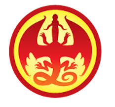 Wings Of Fire Symbol Wings Of Fire Dragons Wings Of Fire Fire Crafts