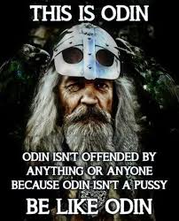 This Is Odin Meme City