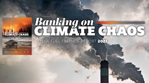 Opening at 8:30 am tomorrow. Banking On Climate Chaos Rainforest Action Network