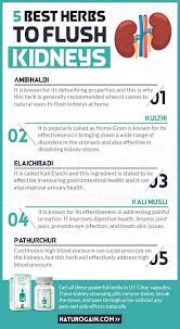 Best Herbal Kidney Cleanse Formula Detox Supplements In 2020 Kidney Cleanse Improve Kidney Function Herbalism