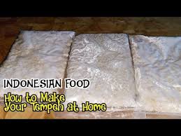 How To Make Soyabean Tempeh At Home Homemade Tempeh Method Youtube In 2021 Tempeh Homemade How To Make