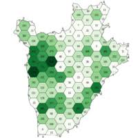 Image result for Virectaria major