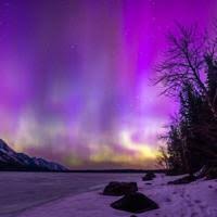 GALLERY: News&Guide readers capture aurora borealis