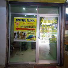 Check spelling or type a new query. Dr Tasneem Ahmed Pet Care Services Emergency Veterinarian Service In Karachi