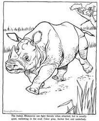 Download 160 Coloring Pages Lineart Animals Mammals Ideas In 2021 Coloring Pages Animal Coloring Pages Coloring Books