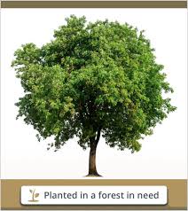 Everett H. Coon Obituary December 5, 2022