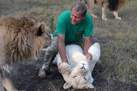 Тайган парк львов открытие сезона сафари со львами олег зубков розыгрыш. A Im Voobshe Nikogo Ne Zhalko Direktor Krymskogo Safari Parka O Borbe Za Zverej S Vlastyami Poluostrova Obshestvo Rossiya Lenta Ru