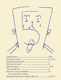 Cranial Nerve Assessment Science Family Nurse