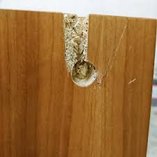 家具クリニック