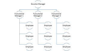 project organization structure planning engineer est