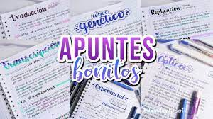 Como Hacer Apuntes Bonitos Danielagmr Youtube