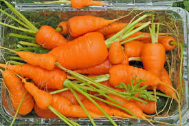 Carrots are low in calories, high in nutrition, and delicious in our no one knows exactly when the first carrots appeared, because many people mistook them for parsnips, a. Do Carrots Really Help Your Vision The Salt Npr