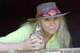 Mr. and Mrs. Peacock' have a hobby aside from their birds: Filming Iowa's  'hidden treasures'