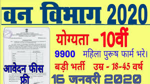 Apply online from 14 december 2019 to 04 january 2020. à¤µà¤¨ à¤µ à¤­ à¤— à¤­à¤° à¤¤ Forest Department Vanacay Forest Job Exam Direct Vanacay Youtube