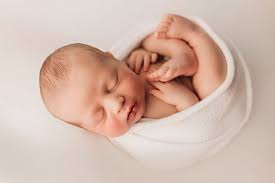 Captured Moments by Shannon